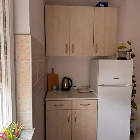 Olga 크리크베니카